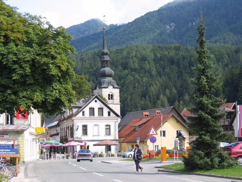 kranjska